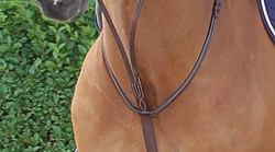 Dy'on Martingale à anneaux