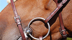 Dy'on Fig 8 noseband New English collection