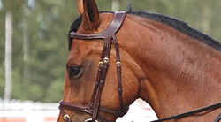 Dy'on "Difference" therapeutic bridle with flash noseband  