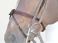 Dy'on Flash noseband with removable nose strap