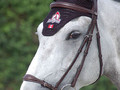 Dy'on New English Drop noseband bridle New english collection