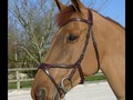 Dy'on “X-FIT” Anatomic Bridle