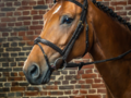 Dy'on Flash noseband bridle