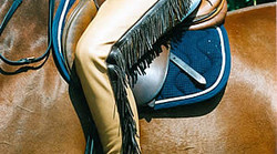 Dy'on Long Chaps