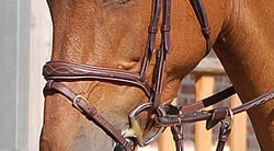 Dy'on Trense mit kombiniertem anatomisch geformtem Reithalfter 