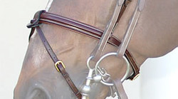 Dy'on Muserolle combinée avec noseband amovible