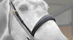 Dy'on Muserolle dressage large