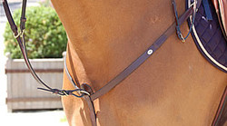Dy'on Collier de chasse English collection