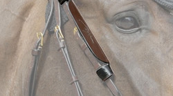 Dy'on Blinkers