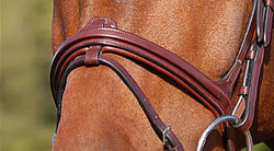 Dy'on Flash noseband New English collection 