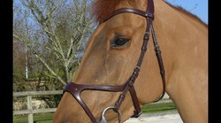 Dy'on “X-FIT” Anatomic Bridle