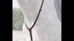 Dy'on Collier “Yoke”