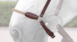 Dy'on Muserolle allemande corde 