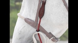 Dy'on Montants de releveur cordes fines (paire) 