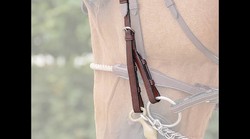 Dy'on Montants de bride (paire)