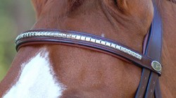 Dy'on Browband « Clincher »