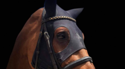 Fenwick Liquid Titanium Mask